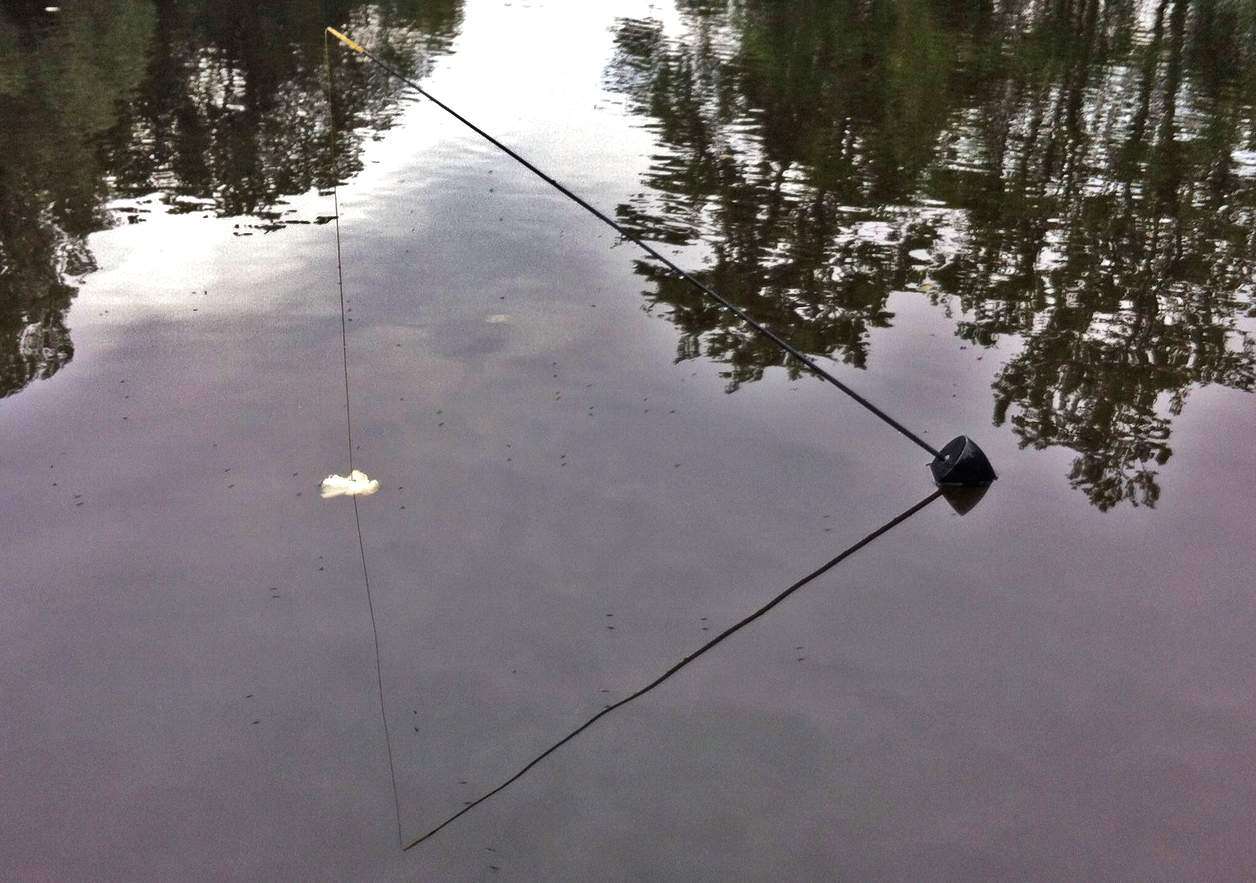 NieuwZeeland Schilderen Hoogland The Carp Trap : Een andere manier van korstvissen - Tips & Trucs