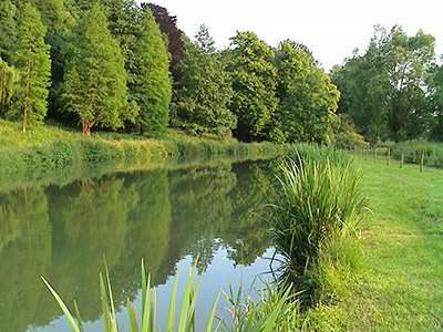 Kasteelvijver, Elsloo