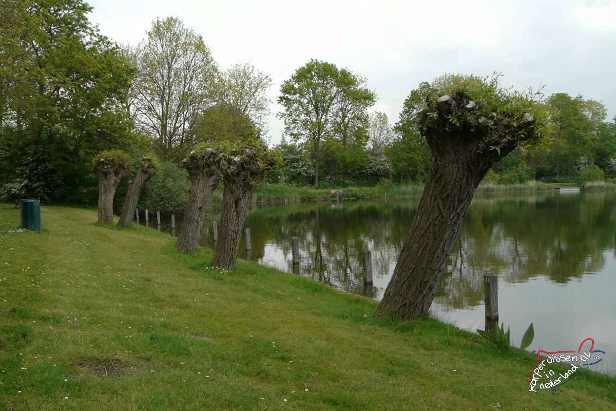 Recreatieplas De Leijen