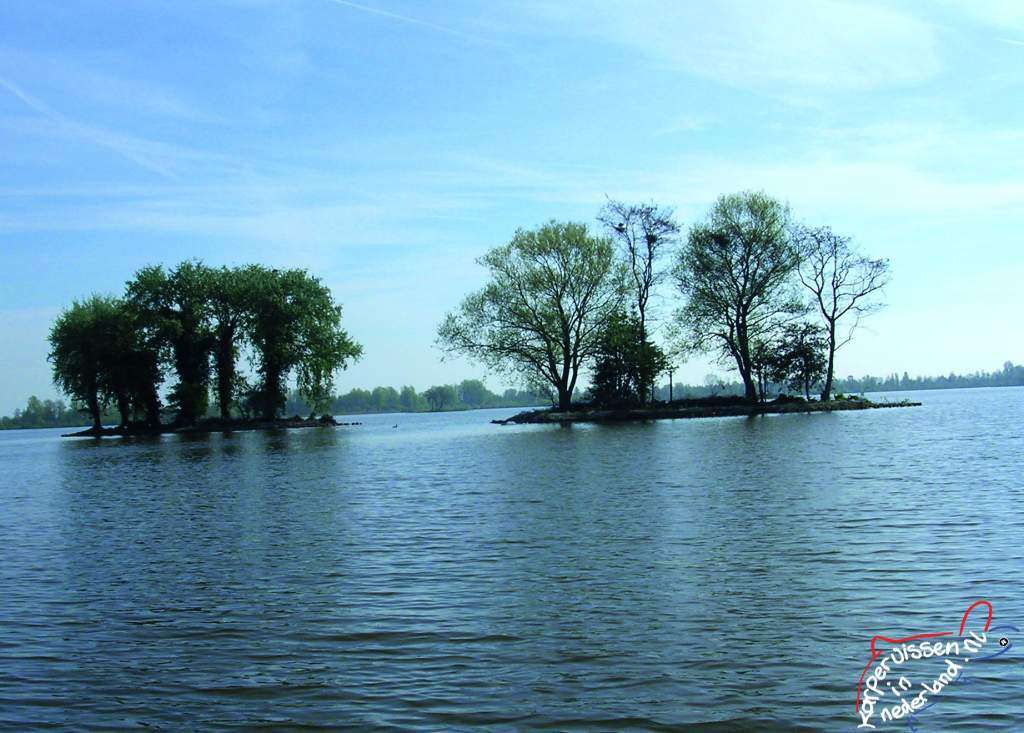 Reeuwijkse plassen